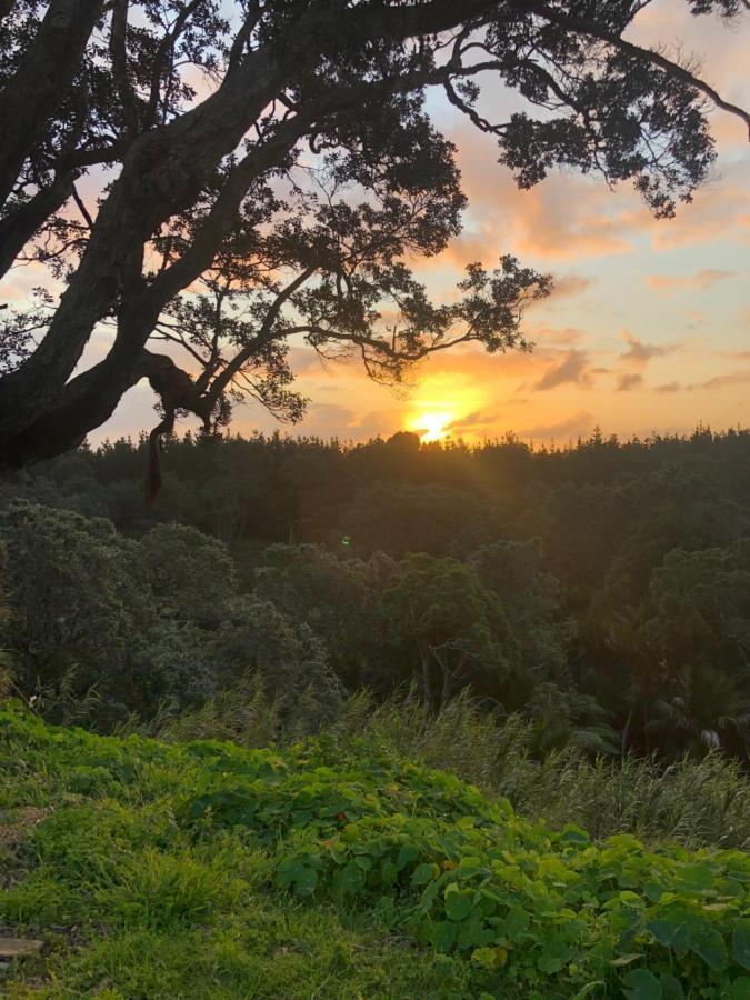 Muriwai Lodge Экстерьер фото